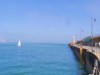 Bilde 36