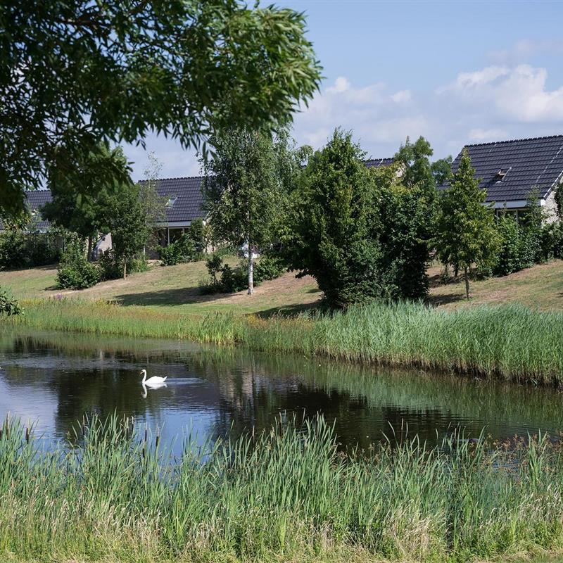 Sommerhus - 6 personer -  - 6097HA - Heel