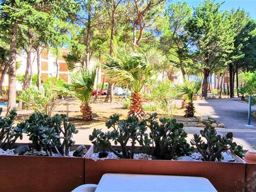 Ferienhaus - 6 Personen -  - 66650 - Banyuls-Sur-Mer