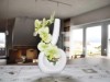 Bild 22