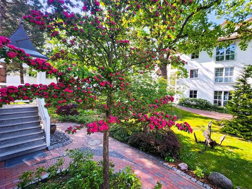 Feriecenter - 9 personer -  - Wylichstraße - 18609 - Binz