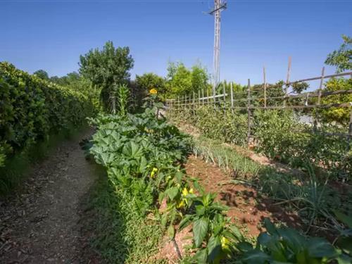 Sommerhus - 6 personer -  - 07500 - Manacor, Illes Balears