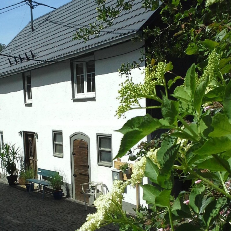 Sommerhus - 5 personer -  - Bitzeweg - 57627 - Astert
