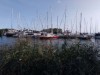 Bilde 27