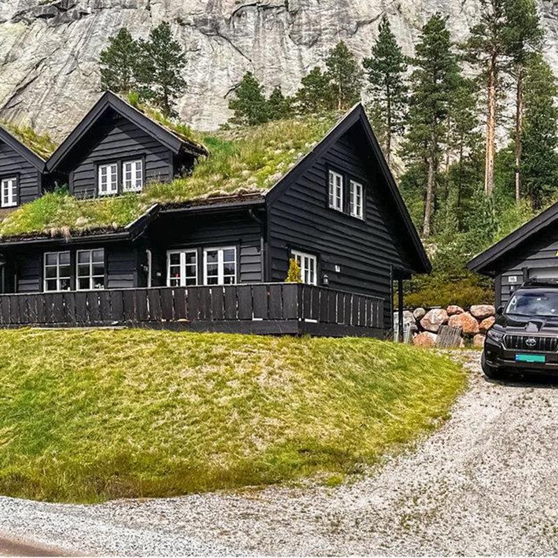 Sommerhus - 9 personer -  - Løefjellvegen - Brokke/ Rysstad - 4748 - Rysstad