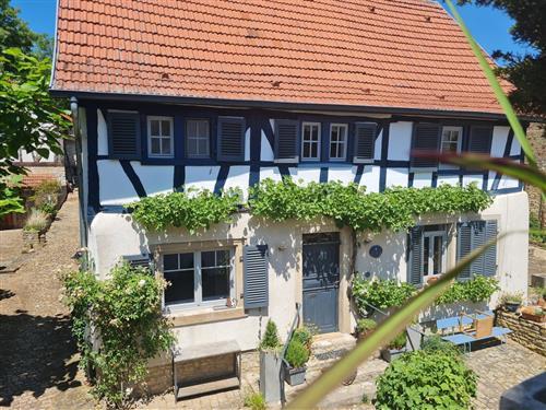Ferielejlighed - 5 personer -  - Hauptstraße - 55578 - Vendersheim