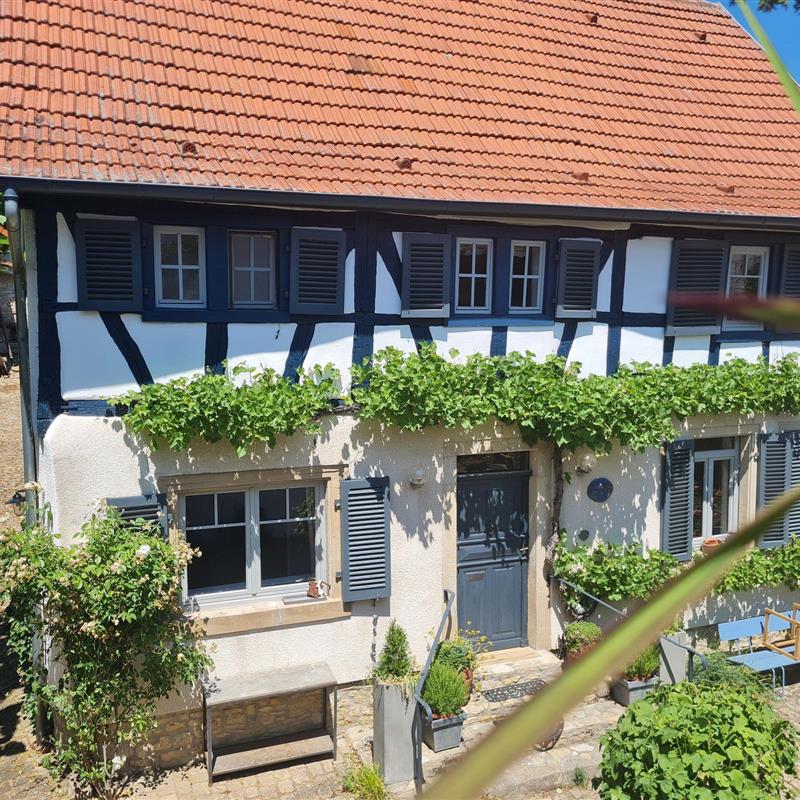Ferielejlighed - 5 personer -  - Hauptstraße - 55578 - Vendersheim