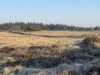 Bild 31 - Område