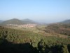 Billede 16