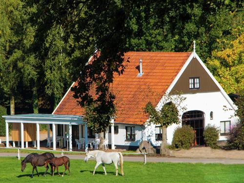 Chalet - 2 personer -  - 7631CJ - Ootmarsum