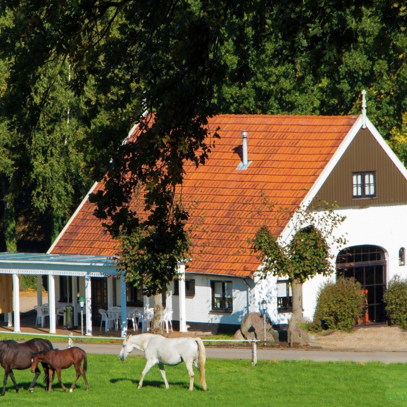Chalet - 2 personer -  - 7631CJ - Ootmarsum