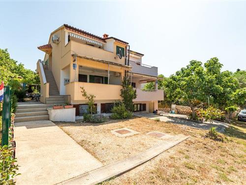 Ferieleilighet - 5 personer -  - Potocnica - Pag-Potocnica - 53291 - Potocnica