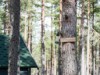 Bild 9 - Ude