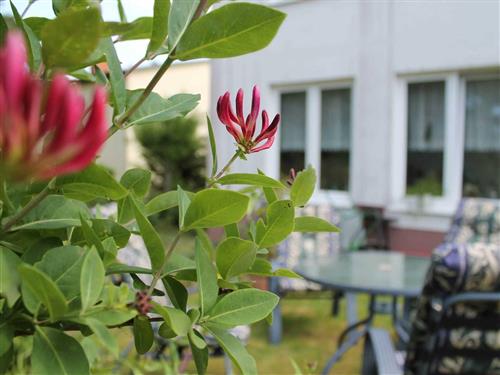 Ferielejlighed - 7 personer -  - Kaminofen, Balkon, Garten, Haustier willkommen - 18233 - Neubukow
