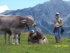 Bild 13