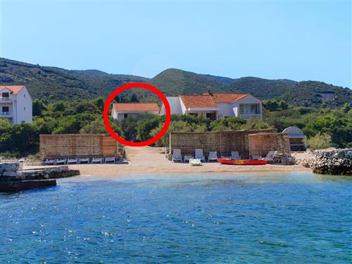 Semesterlägenhet - 5 personer -  - Luka - 20264 - Racišce