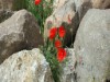 Bild 36 - Aussen