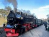 Billede 41