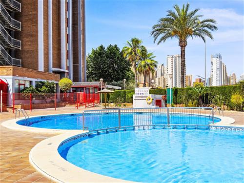 Ferienhaus - 3 Personen -  - Benidorm - 03501