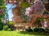 Billede 6