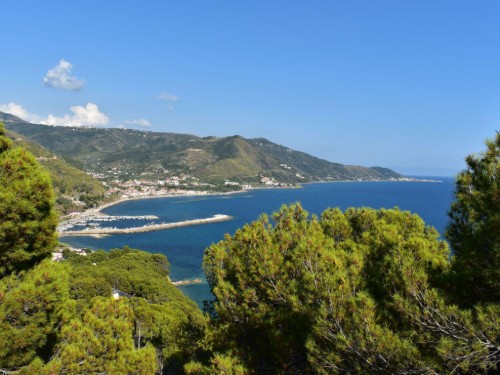Holiday apartment - 4 persons -  - 84060 - Montecorice