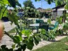 Bild 22 - Ude