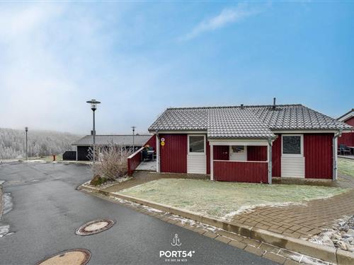 Sommerhus - 4 personer -  - Panoramablick - 37444 - St. Andreasberg