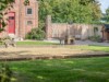 Image 33