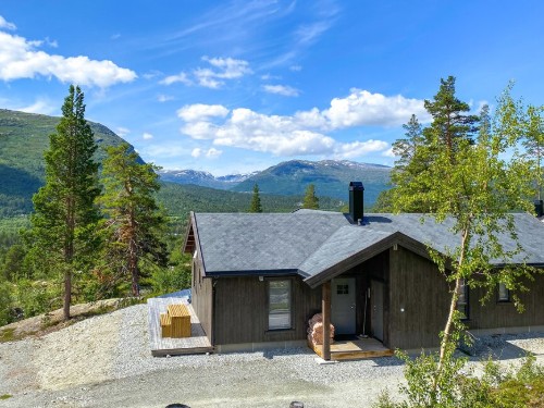Fritidshus - 8 personer -  - Bergvegen - 2669 - Bjorli