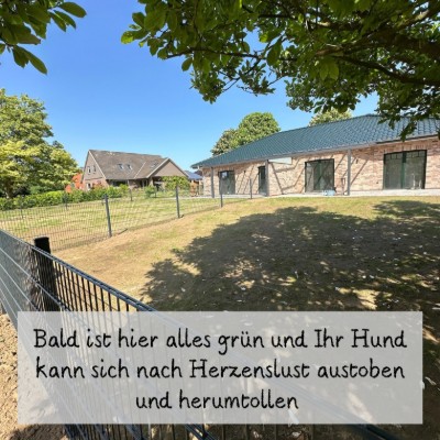 Billede 2