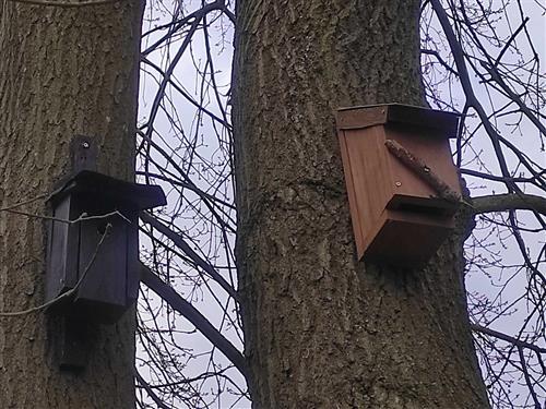 Ferieleilighet - 4 personer -  - Waldstraße - 10 Minuten zum Strand - 17459 - Ückeritz