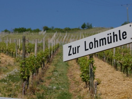 Holiday home - 4 persons -  - 56254 - Müden