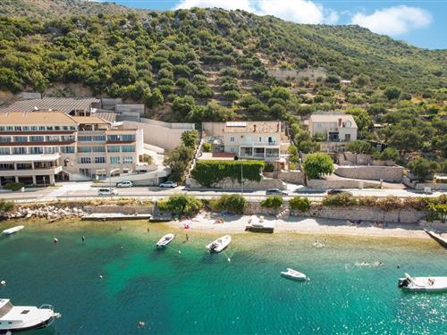 Holiday apartment - 4 persons -  - Na Ratu - Dubrovnik-Zaton - 20235 - Zaton Mali