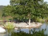 Bild 14