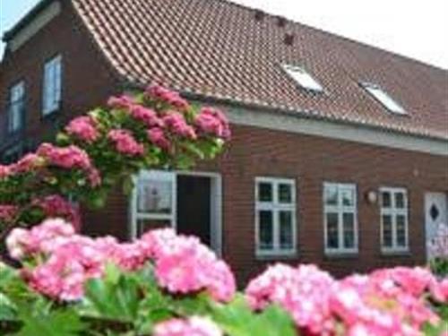 Sommerhus - 30 personer -  - Åvej 2, Bønnerup Strand - 8585 - Glesborg