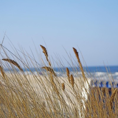 Billede 4