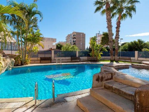 Feriehus / leilighet - 4 personer -  - 03189 - La Zenia