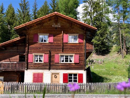 Holiday home - 6 persons -  - Arosastrasse - 7057 - Langwies