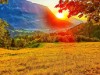 Bild 66