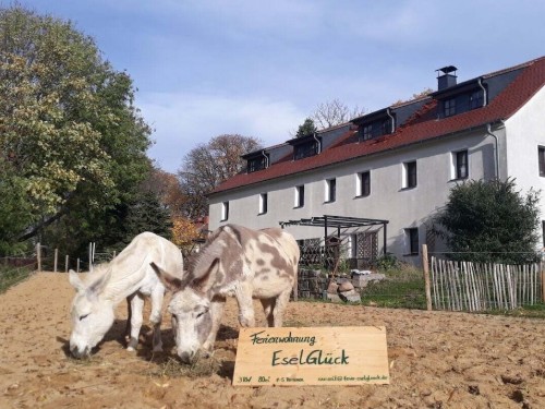 Feriehus - 8 personer -  - 02894 - Reichenbach