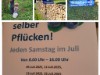 Afbeelding 9