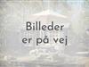 Billede 1