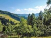 Bilde 2