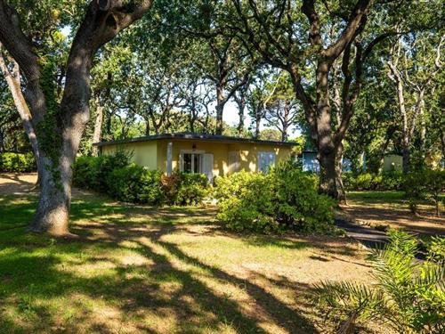 Bungalow - 4 Personen -  - 57027 - San Vincenzo