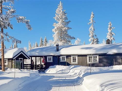 Sommerhus - 8 personer -  - Ryskdalen hytteomeråde - Trysil/Østby - 2423 - Østby