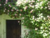Bilde 26