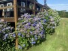 Bild 5 - Terrass