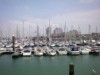 Image 15