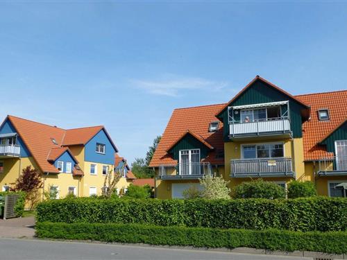 Holiday Home/Apartment - 2 persons -  - Friedenstrasse - 18374 - Seeheilbad Zingst