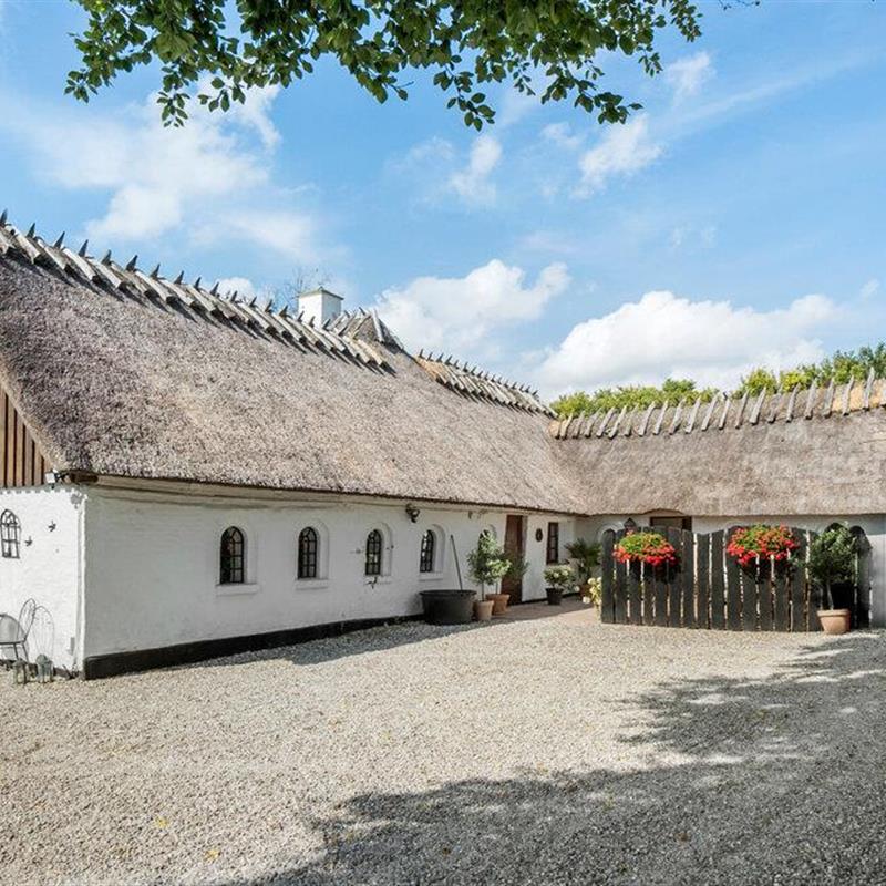 Ferielejlighed - 4 personer -  - Dannesbovej - 5690 - Tommerup